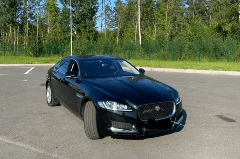 Изображение из отзыва